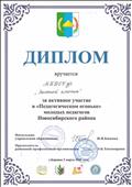 Диплом, за активное участие в "Педагогическом огоньке" молодых педагогов Новосибирского района, 02.03.2019г